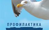 Птичий грипп 303х214 2-стор - 0001